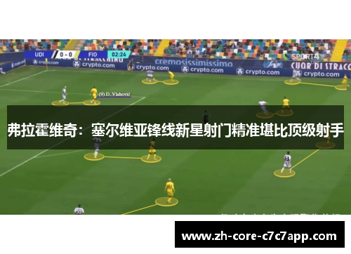 弗拉霍维奇：塞尔维亚锋线新星射门精准堪比顶级射手