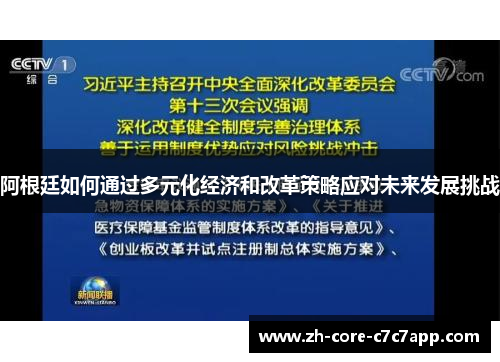 阿根廷如何通过多元化经济和改革策略应对未来发展挑战